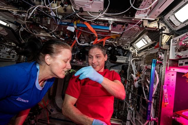 NASA image: iss064e027748