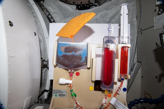 NASA image: iss064e030235