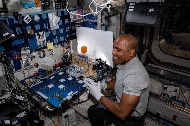 NASA image: iss064e031991