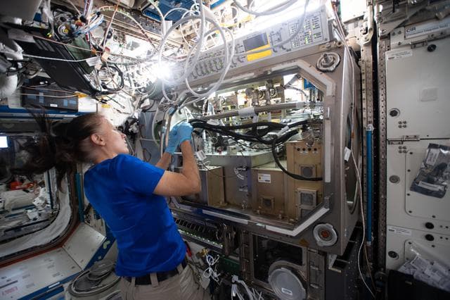 NASA image: iss064e035056
