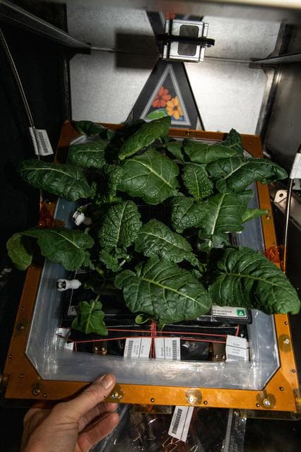 NASA image: iss064e038852