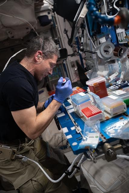 NASA image: iss064e039273