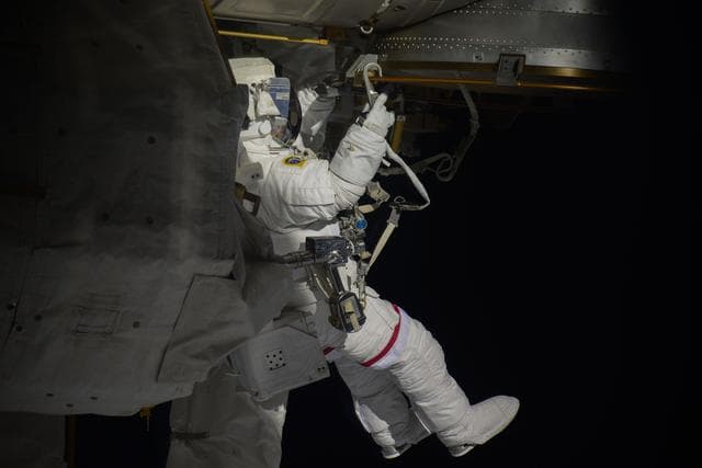 NASA image: iss064e039323