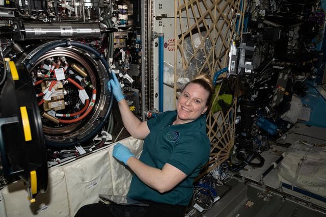 NASA image: iss064e040971