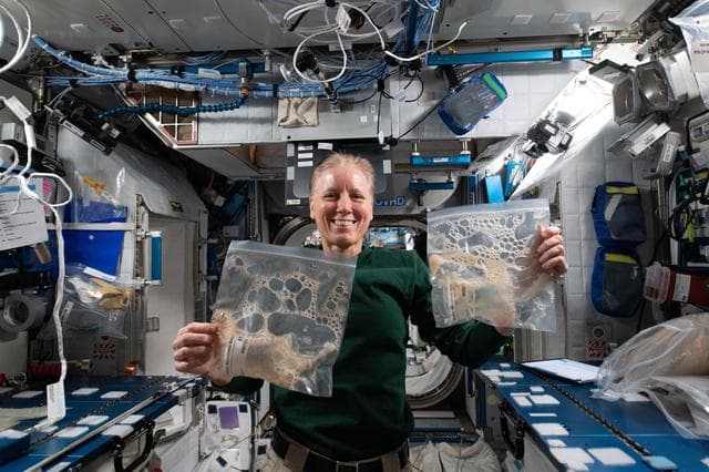 NASA image: iss064e042078