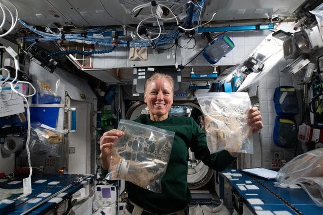 NASA image: iss064e042079