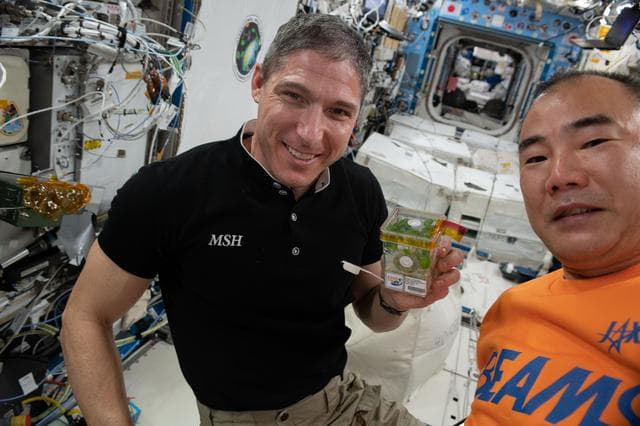 NASA image: iss064e043776