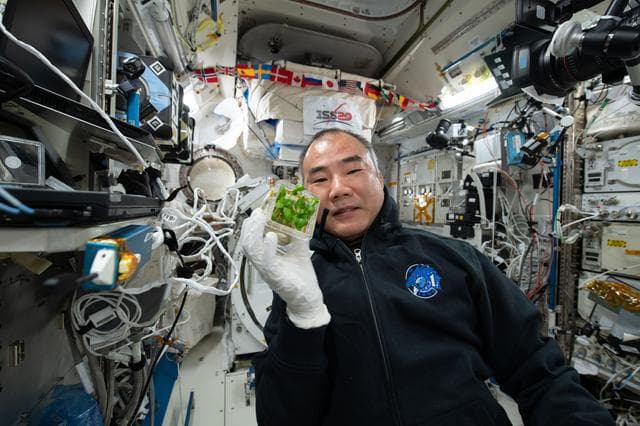 NASA image: iss064e044320