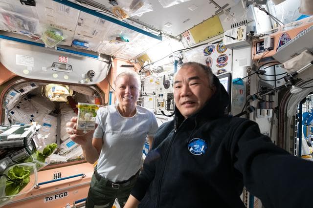 NASA image: iss064e044325