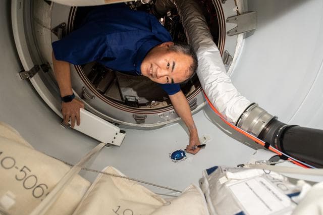 NASA image: iss064e052204