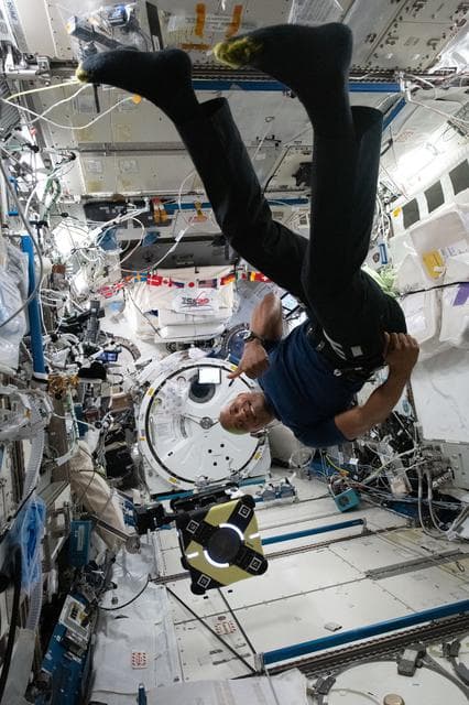 NASA image: iss064e059451
