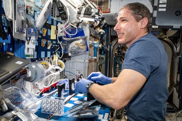 NASA image: iss065e006581