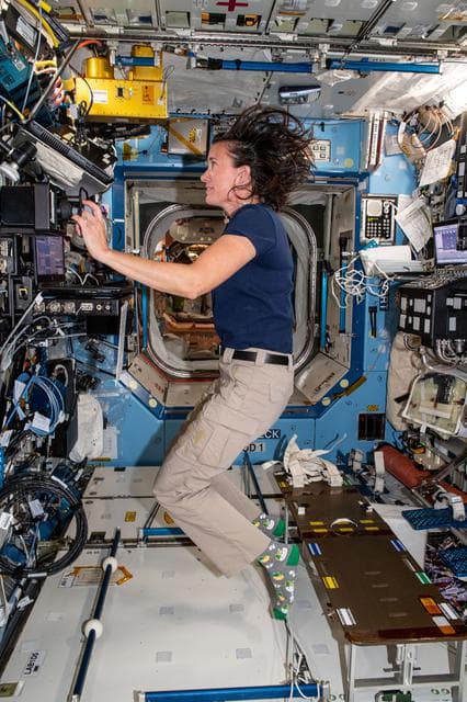 NASA image: iss065e006588
