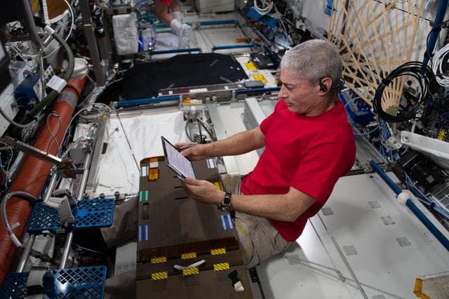 NASA image: iss065e007478