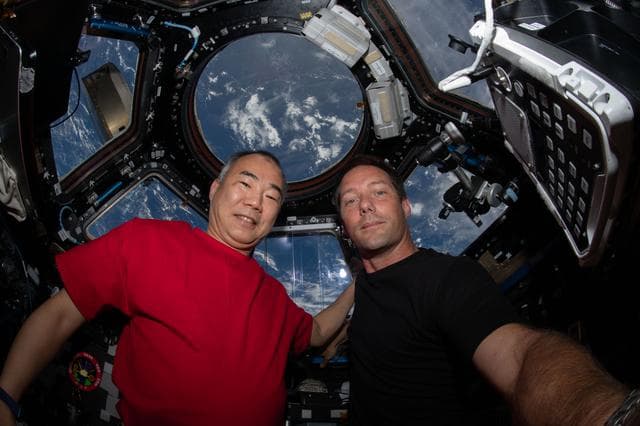 NASA image: iss065e007788