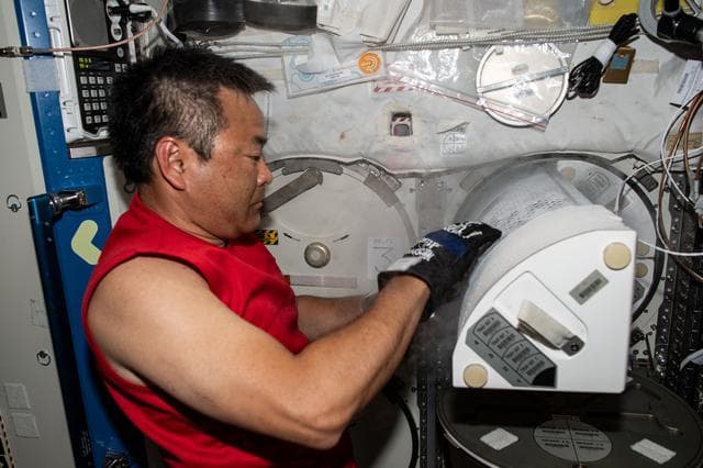 NASA image: iss065e008243