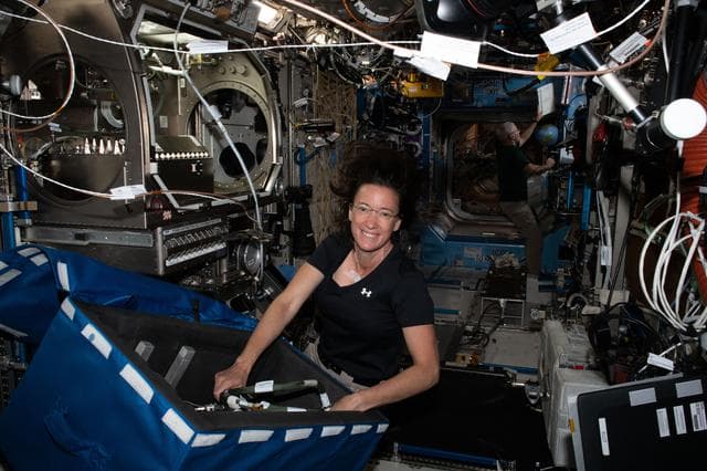 NASA image: iss065e012827