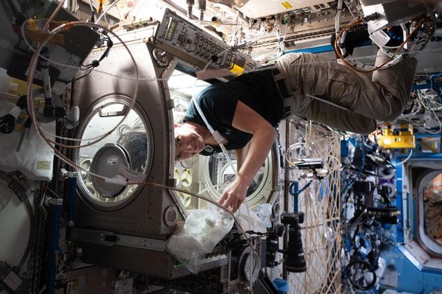 NASA image: iss065e017714