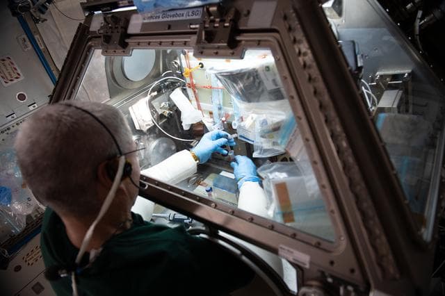 NASA image: iss065e018995