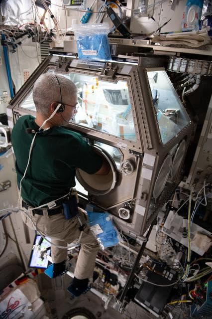 NASA image: iss065e018996