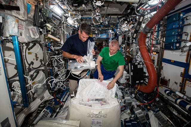 NASA image: SUBSA