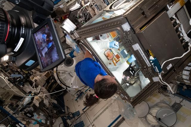 NASA image: iss065e026994
