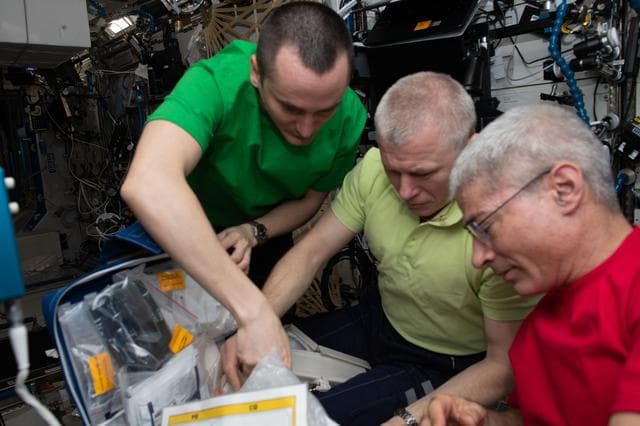 NASA image: iss065e032081