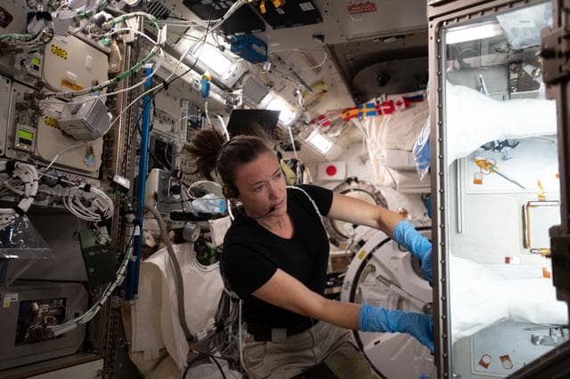 NASA image: iss065e033958