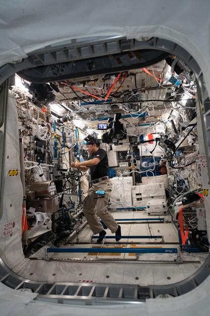 NASA image: Time Perception experiment