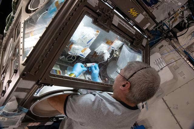 NASA image: iss065e056832