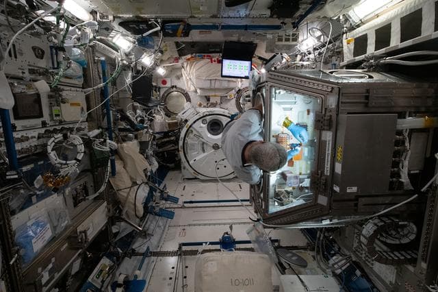 NASA image: Celestial immunity
