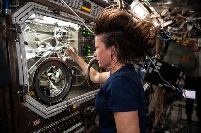 NASA image: SUBSA
