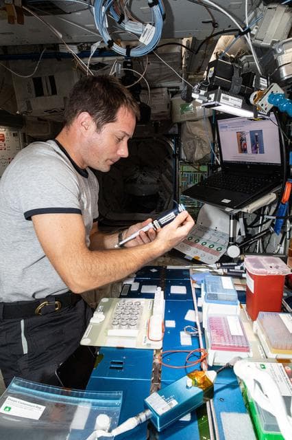 NASA image: iss065e066472