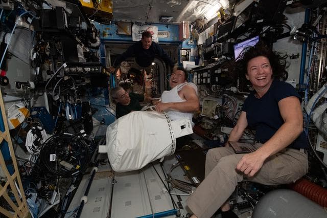 NASA image: iss065e069147