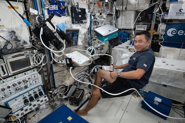 NASA image: iss065e069159