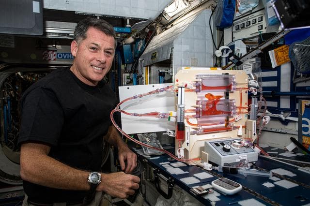 NASA image: iss065e074538