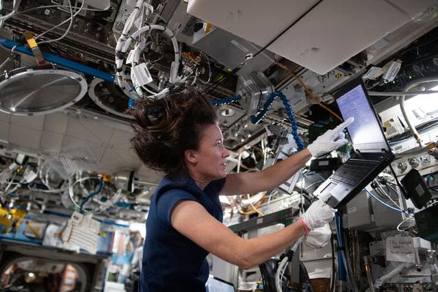 NASA image: iss065e081296