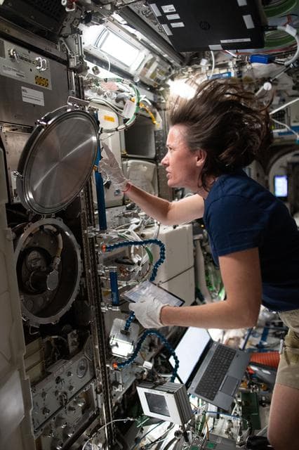 NASA image: iss065e081297