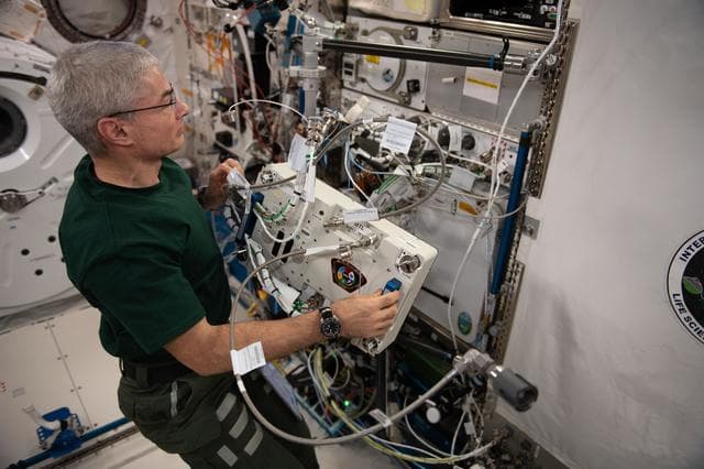 NASA image: iss065e081498