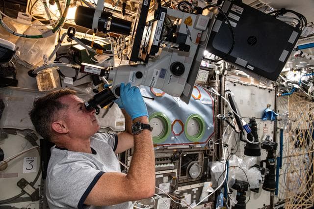 NASA image: iss065e084430