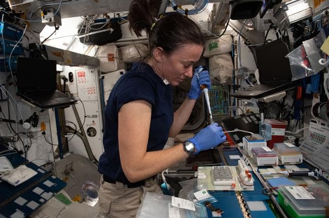 NASA image: iss065e085491
