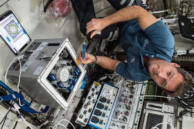 NASA image: iss065e092410