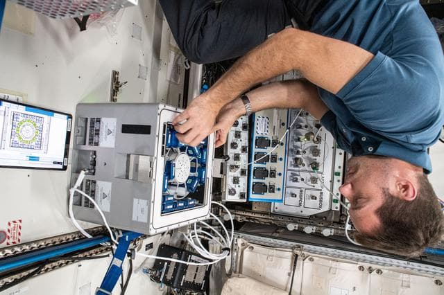 NASA image: iss065e092424
