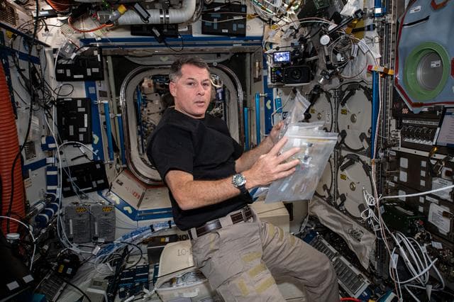 NASA image: iss065e093509