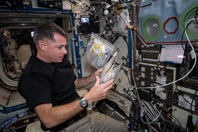 NASA image: iss065e093511