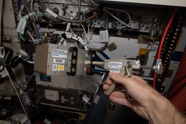 NASA image: Biological Research In Canisters Transfer to BRIC-LED Facility