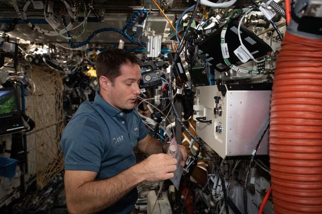 NASA image: Biological Research In Canisters Transfer to BRIC-LED Facility