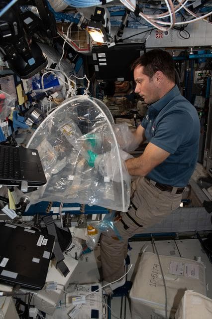 NASA image: iss065e094111