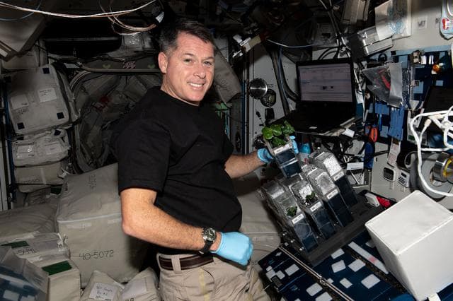 NASA image: TICTOC Science