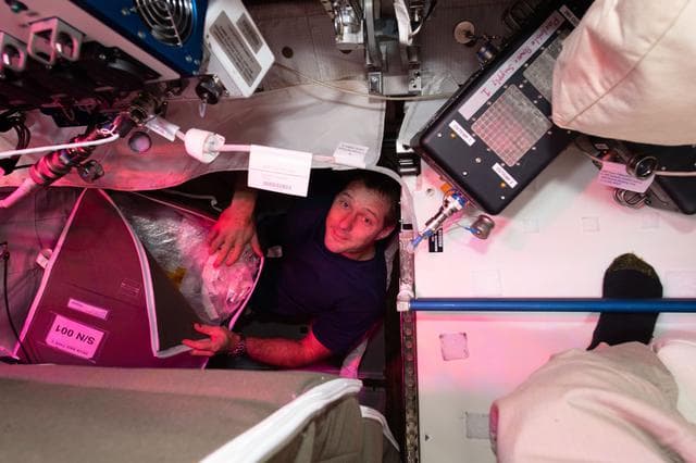 iss065e099946